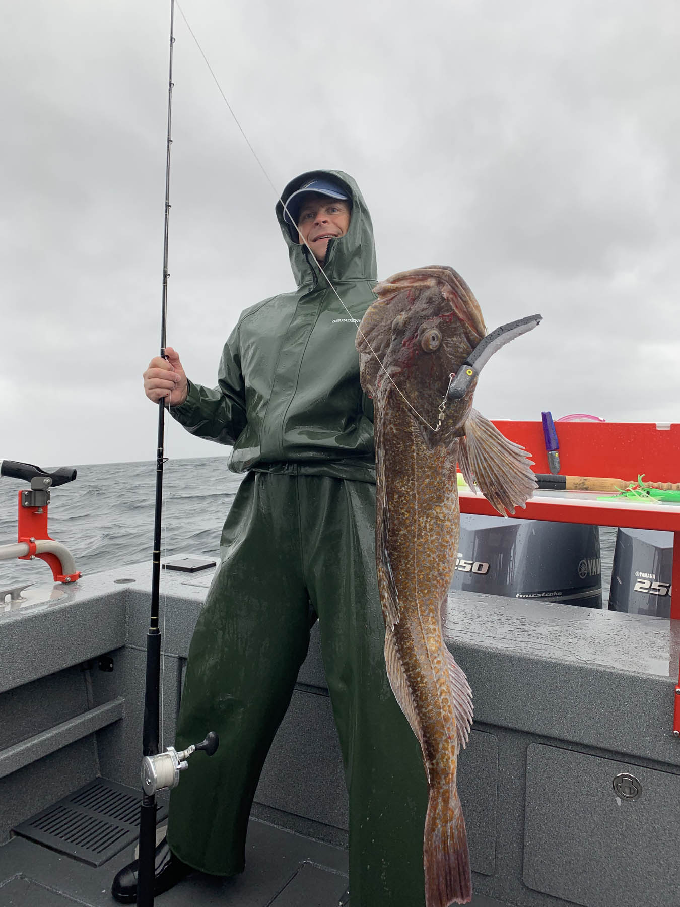 Guest holding a ling cod.