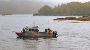 alaksa-silver-salmon-gallery (8)